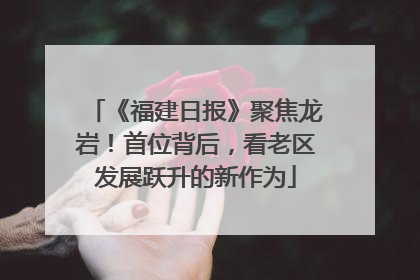 《福建日报》聚焦龙岩！首位背后，看老区发展跃升的新作为