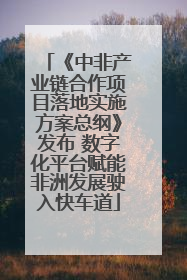 《中非产业链合作项目落地实施方案总纲》发布 数字化平台赋能非洲发展驶入快车道