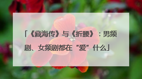 《藏海传》与《折腰》：男频剧、女频剧都在“爱”什么