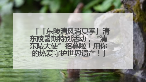 「东陵清风消夏季」清东陵暑期特别活动，“清东陵大使”招募啦！用你的热爱守护世界遗产！