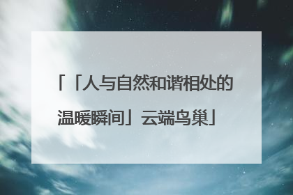 「人与自然和谐相处的温暖瞬间」云端鸟巢