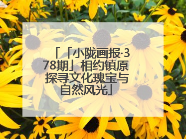 「小陇画报·378期」相约镇原 探寻文化瑰宝与自然风光
