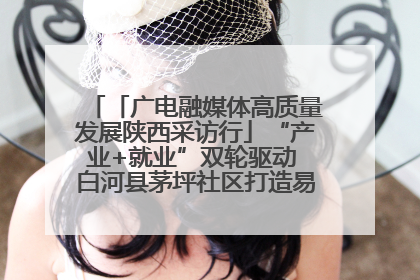 「广电融媒体高质量发展陕西采访行」“产业+就业”双轮驱动 白河县茅坪社区打造易地搬迁后扶新样本