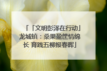 「文明彭泽在行动」龙城镇：桑果盈筐情绵长 育践五柳报春晖