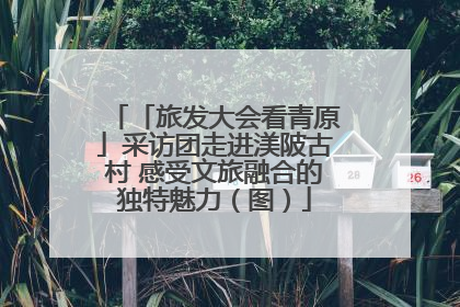 「旅发大会看青原」采访团走进渼陂古村 感受文旅融合的独特魅力（图）