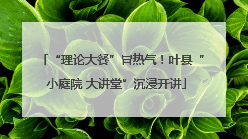 “理论大餐”冒热气！叶县“小庭院 大讲堂”沉浸开讲