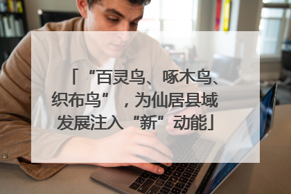 “百灵鸟、啄木鸟、织布鸟”，为仙居县域发展注入“新”动能
