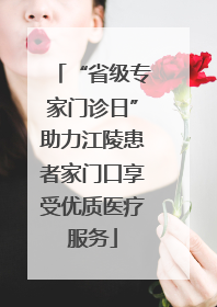 “省级专家门诊日”助力江陵患者家门口享受优质医疗服务