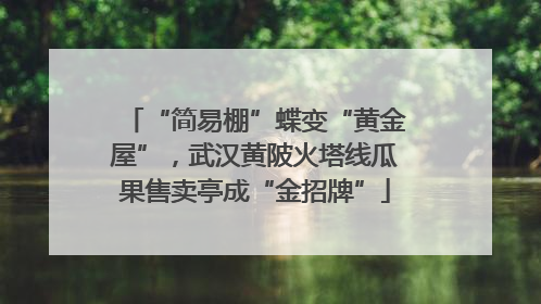 “简易棚”蝶变“黄金屋”，武汉黄陂火塔线瓜果售卖亭成“金招牌”