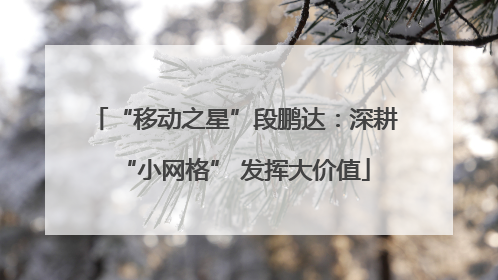 “移动之星”段鹏达：深耕“小网格” 发挥大价值