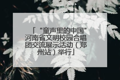 “童声里的中国”河南省文明校园合唱团交流展示活动（郑州站）举行