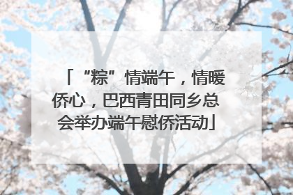 “粽”情端午，情暖侨心，巴西青田同乡总会举办端午慰侨活动