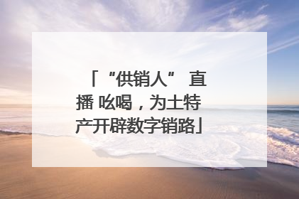 “供销人” 直播 吆喝，为土特产开辟数字销路