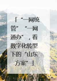“一网统管”“一网通办”，看数字化转型下的“山东方案”