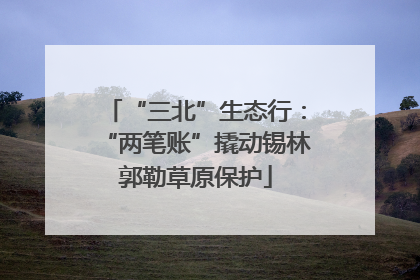 “三北”生态行：“两笔账”撬动锡林郭勒草原保护