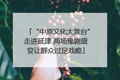 “中原文化大舞台”走进延津 两场豫剧盛宴让群众过足戏瘾