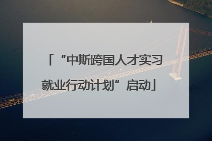 “中斯跨国人才实习就业行动计划”启动
