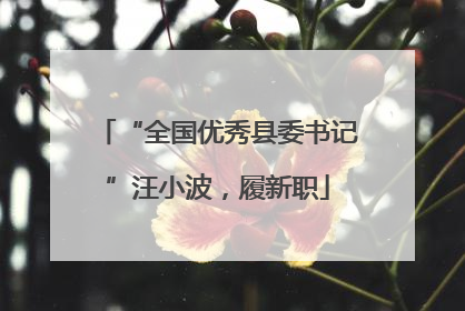 “全国优秀县委书记”汪小波，履新职