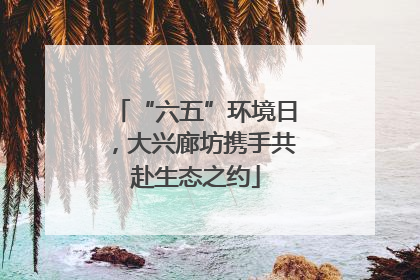 “六五”环境日，大兴廊坊携手共赴生态之约