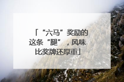 “六马”奖励的这条“腿”，风味比奖牌还厚重