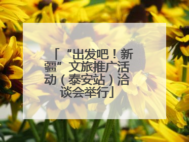 “出发吧！新疆”文旅推广活动（泰安站）洽谈会举行