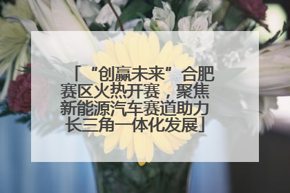 “创赢未来”合肥赛区火热开赛，聚焦新能源汽车赛道助力长三角一体化发展