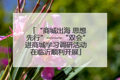 “商城出海 思想先行”——“双会”进商城学习调研活动在临沂顺利开展
