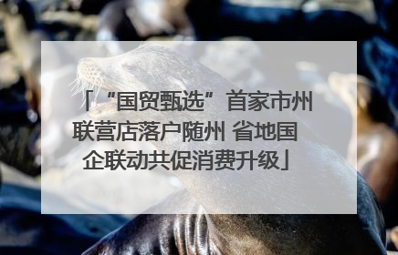 “国贸甄选”首家市州联营店落户随州 省地国企联动共促消费升级
