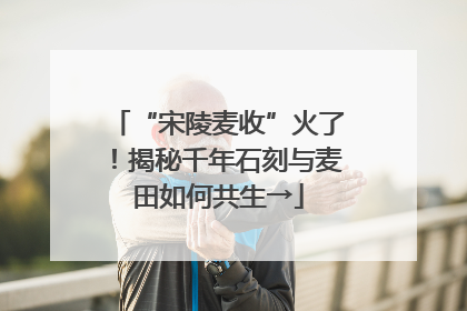 “宋陵麦收”火了！揭秘千年石刻与麦田如何共生→