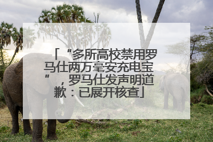 “多所高校禁用罗马仕两万毫安充电宝”，罗马仕发声明道歉：已展开核查