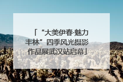 “大美伊春·魅力丰林”四季风光摄影作品展武汉站启幕