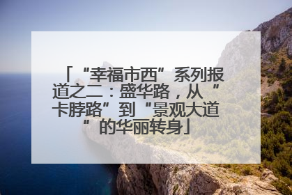 “幸福市西”系列报道之二：盛华路，从“卡脖路”到“景观大道”的华丽转身