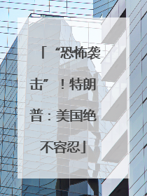 “恐怖袭击”！特朗普：美国绝不容忍