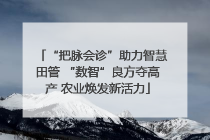 “把脉会诊”助力智慧田管 “数智”良方夺高产 农业焕发新活力