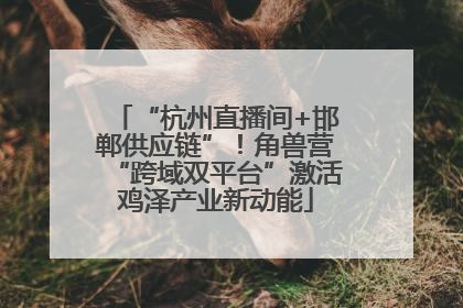 “杭州直播间+邯郸供应链”！角兽营“跨域双平台”激活鸡泽产业新动能