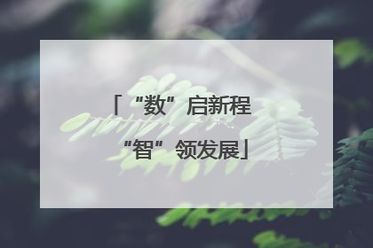 “数”启新程 “智”领发展