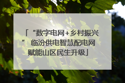 “数字电网+乡村振兴” 临汾供电智慧配电网赋能山区民生升级