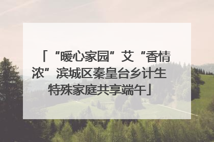 “暖心家园”艾“香情浓”滨城区秦皇台乡计生特殊家庭共享端午
