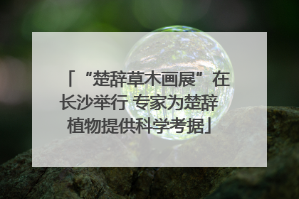 “楚辞草木画展”在长沙举行 专家为楚辞植物提供科学考据