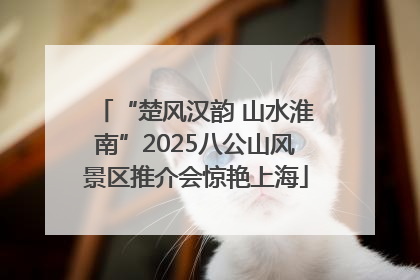 “楚风汉韵 山水淮南”2025八公山风景区推介会惊艳上海