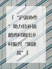 “沪滇协作”助力待补镇鹧鸡村跑出乡村振兴“加速度”