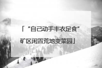 “自己动手丰衣足食”矿区闲置荒地变菜园