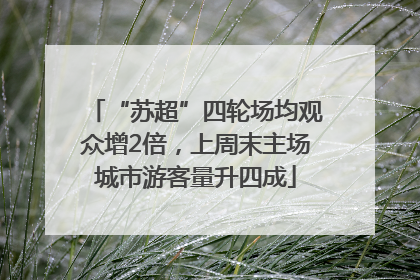 “苏超”四轮场均观众增2倍，上周末主场城市游客量升四成