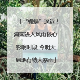 “蝴蝶”逼近！海南进入风雨核心影响时段 今明天局地有特大暴雨