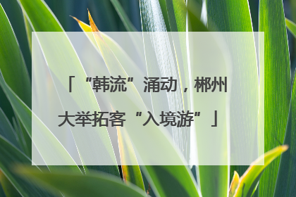 “韩流”涌动，郴州大举拓客“入境游”