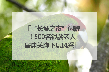 “长城之夜”闪耀！500名银龄老人居庸关脚下展风采