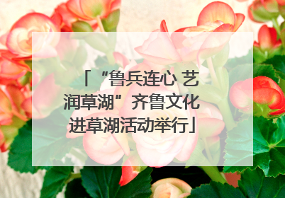 “鲁兵连心 艺润草湖”齐鲁文化进草湖活动举行