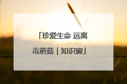 珍爱生命 远离毒蘑菇｜知识窗