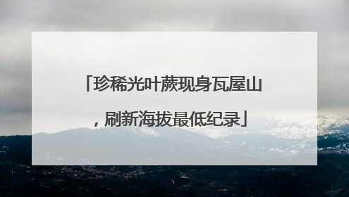 珍稀光叶蕨现身瓦屋山，刷新海拔最低纪录