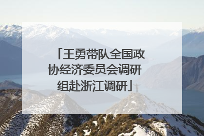 王勇带队全国政协经济委员会调研组赴浙江调研